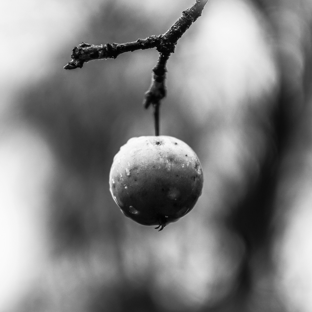 View Untitled 2 by Jarkko Hietanen