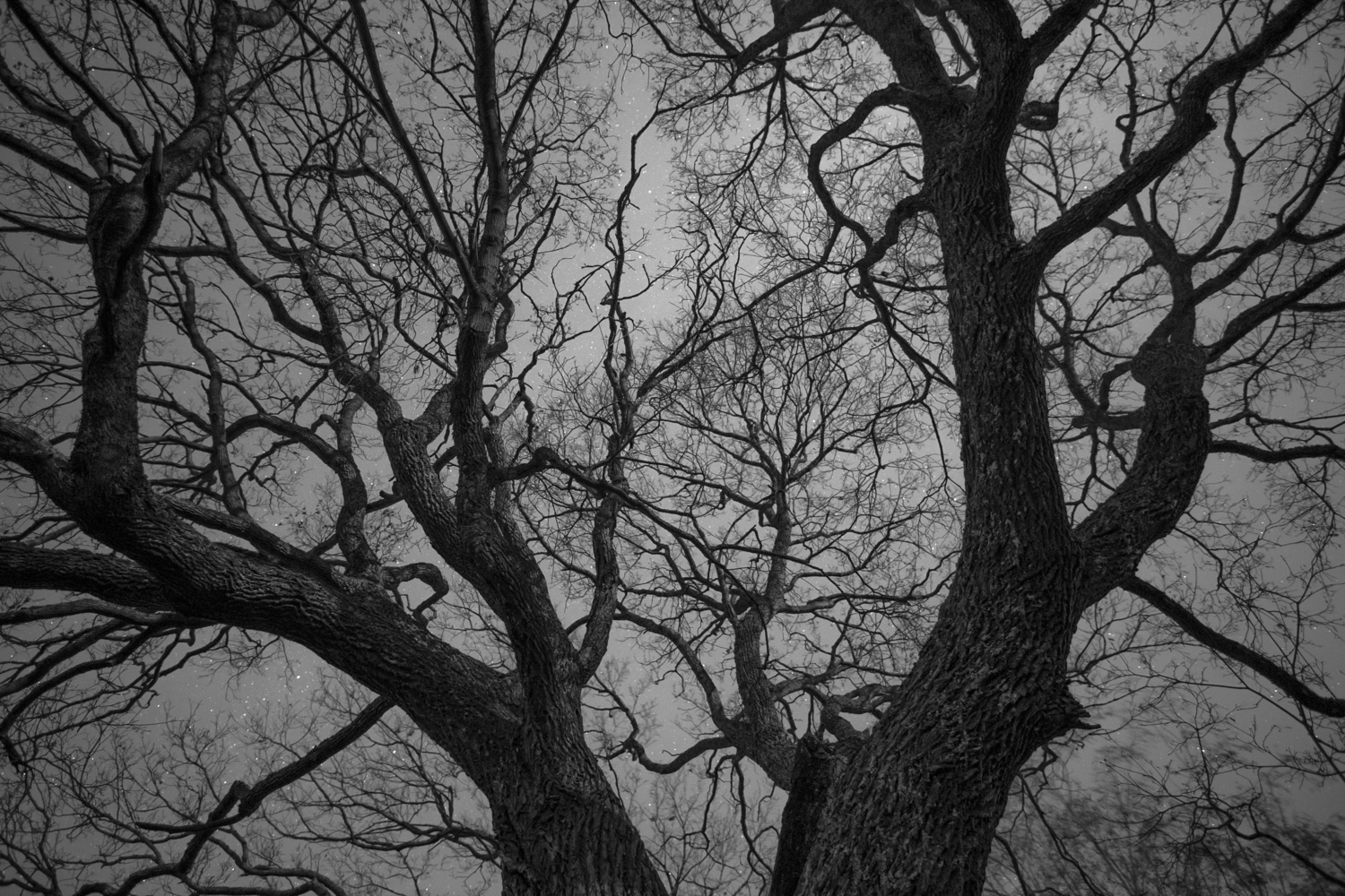View Untitled 1 by Jarkko Hietanen