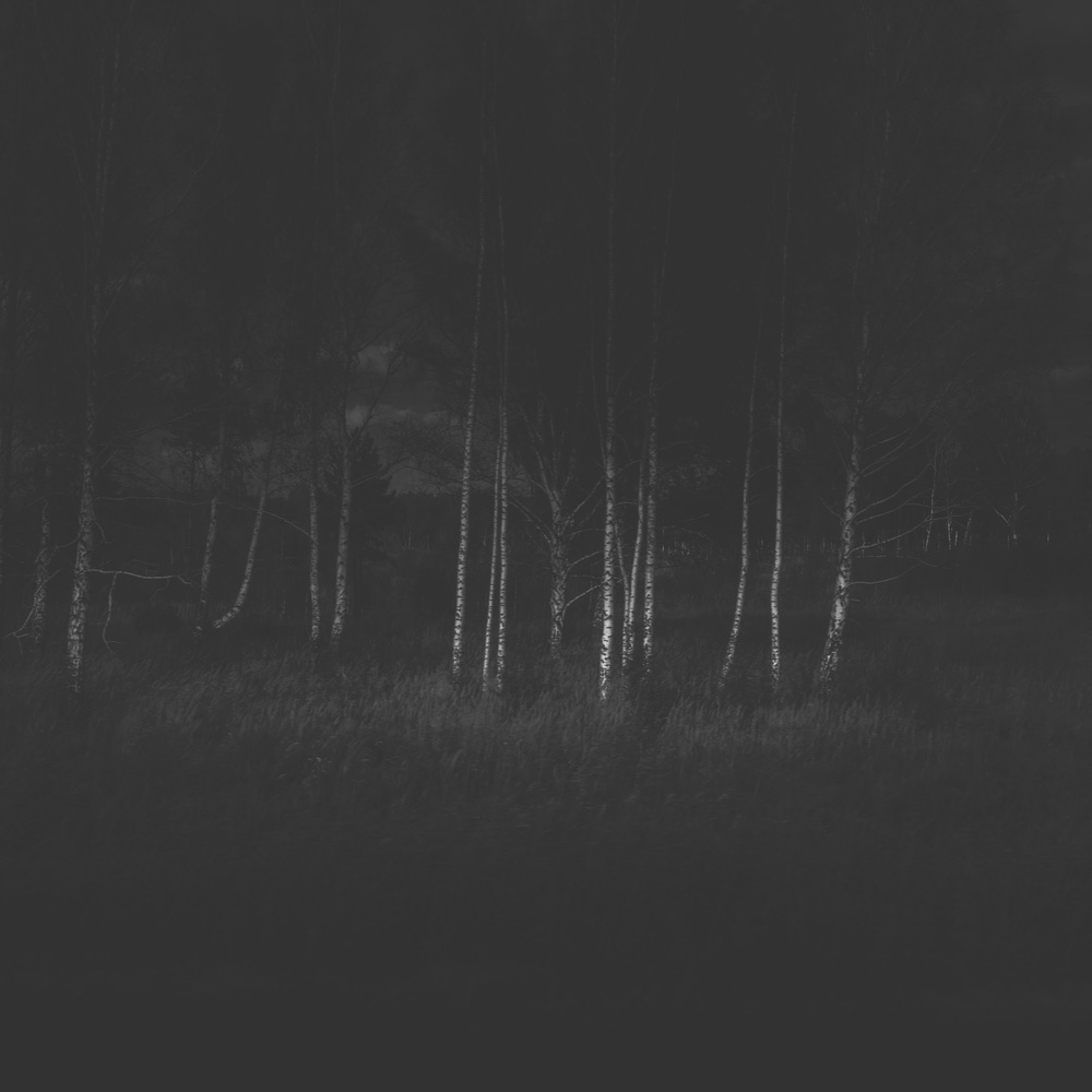 View UNTITLED by Jasper van den Ham