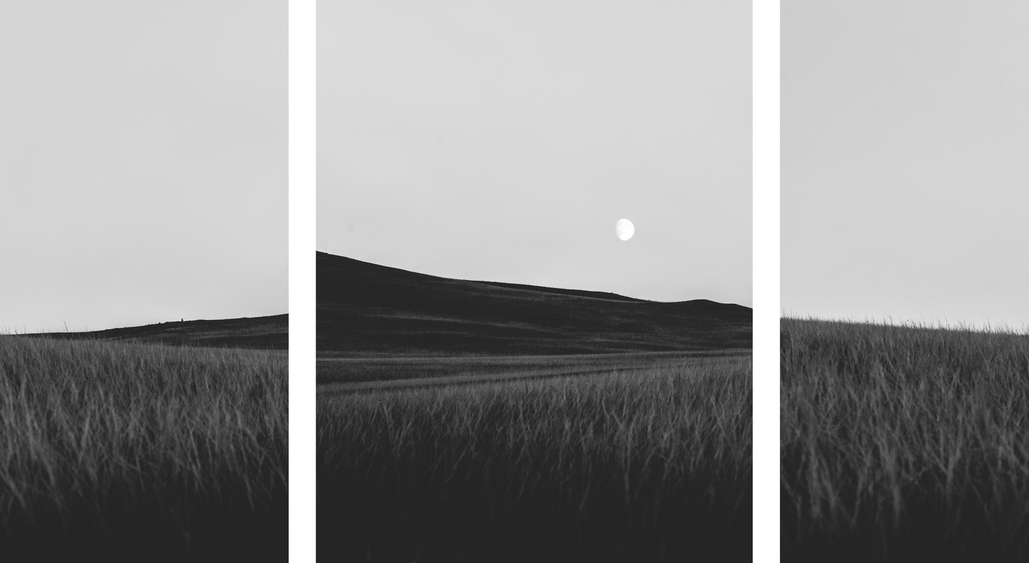 View MOON by Jasper van den Ham