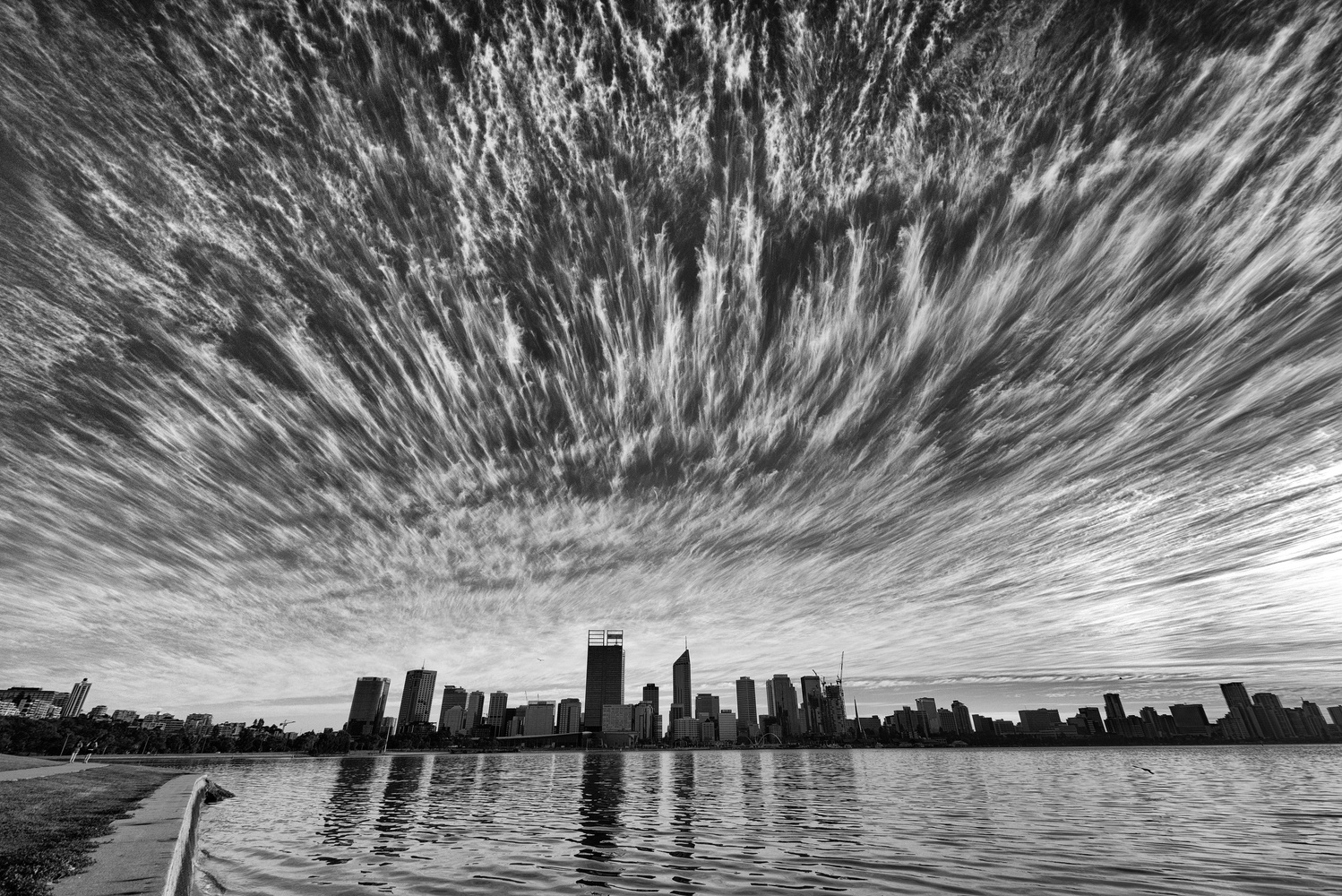 View Untitled 1 by Greg Rowney