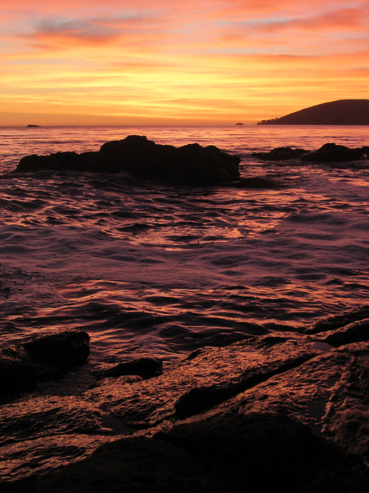 View Untitled 4 by Sean F.