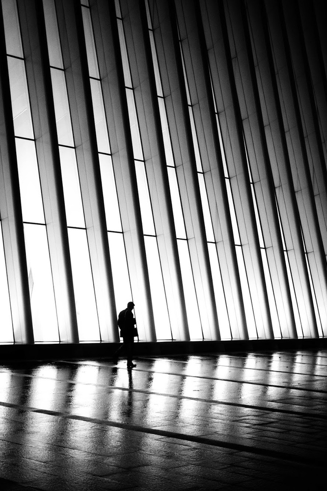 View Untitled 1 by Marlon Boone