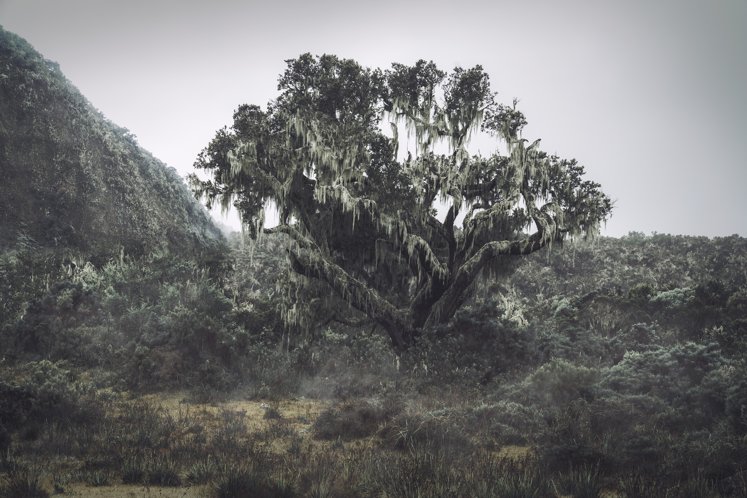 View Untitled 2 by Alexander Schindler
