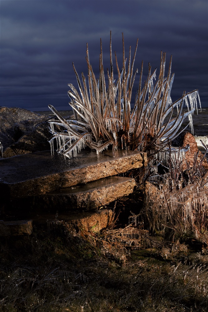 View Untitled 2 by brandon panske