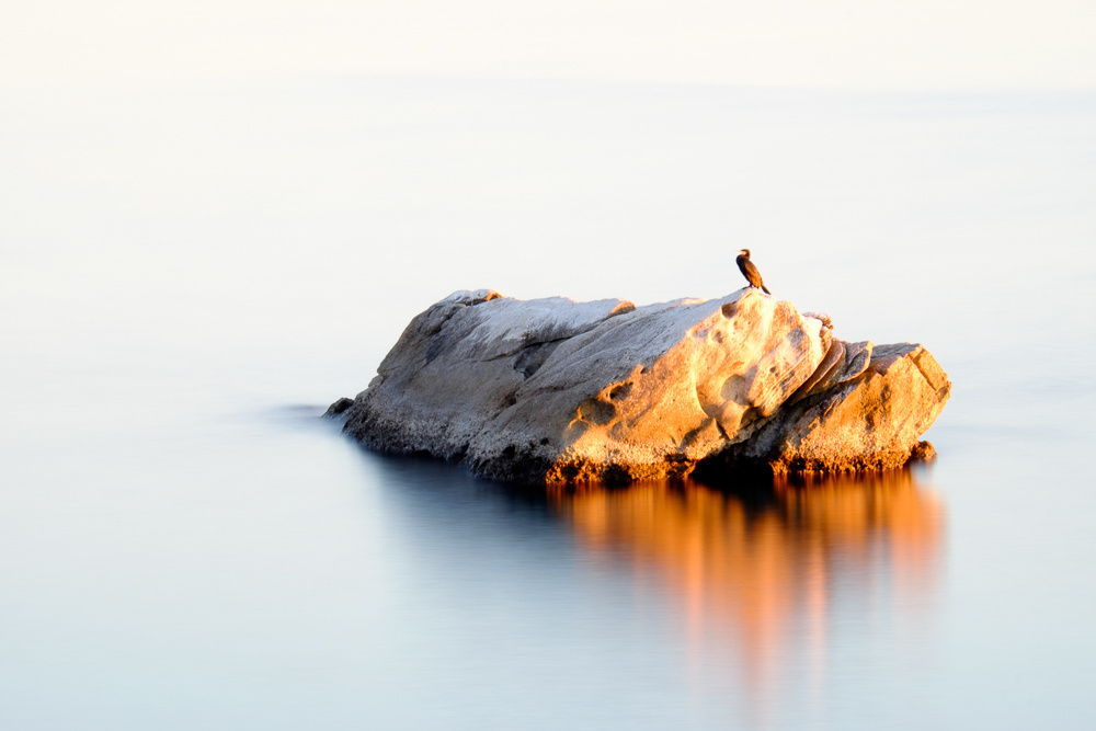 View Untitled 2 by bejamin Lurie