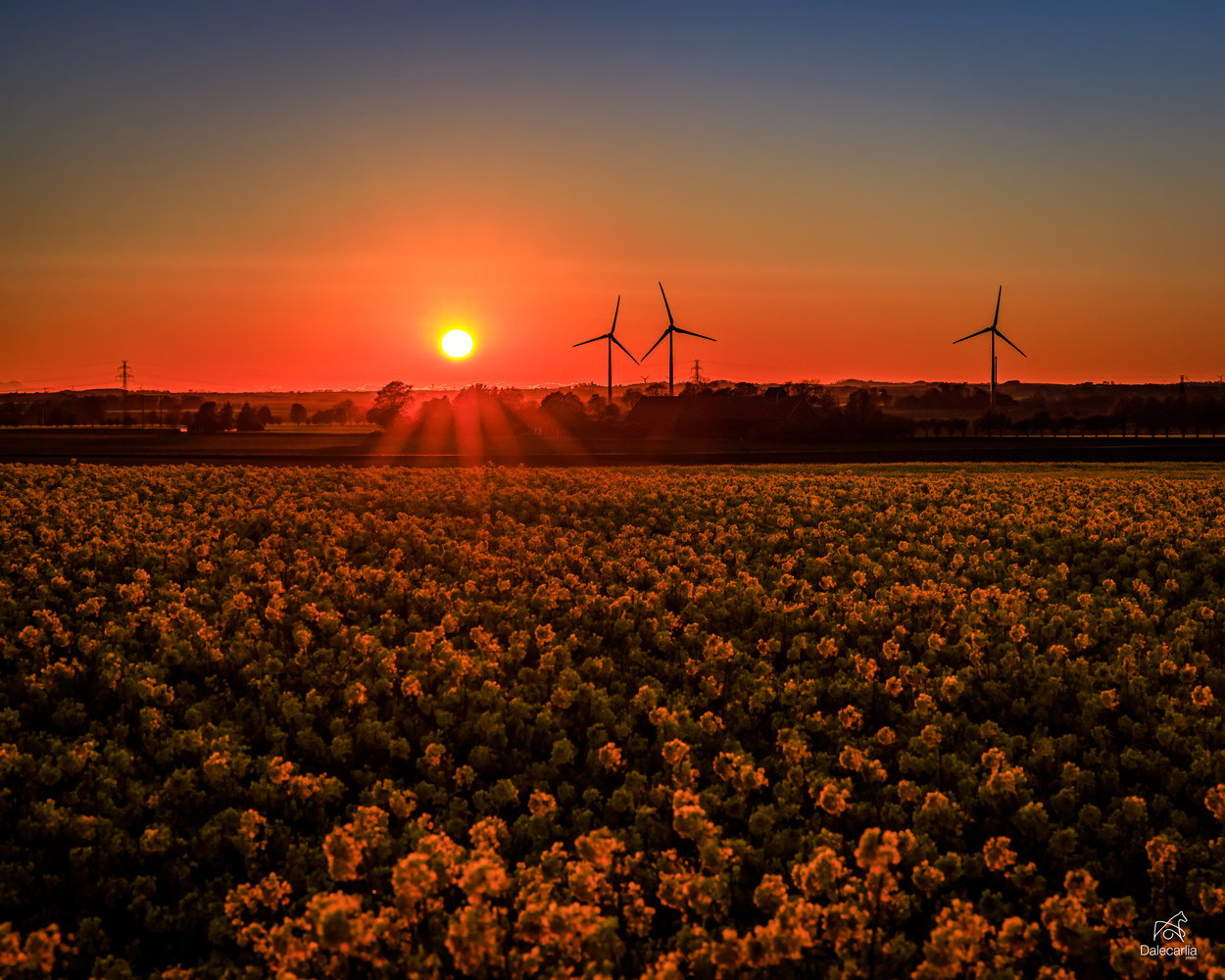 View Power by Stig Johansson