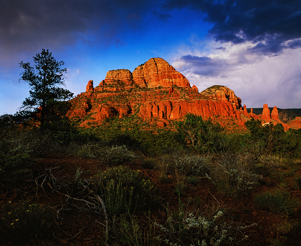 View Elephant Rock by Loren Hedrick