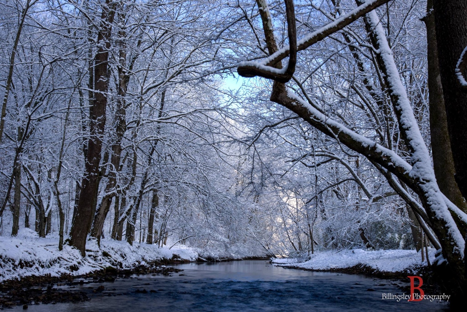 View Untitled 4 by Cliff Billingsley