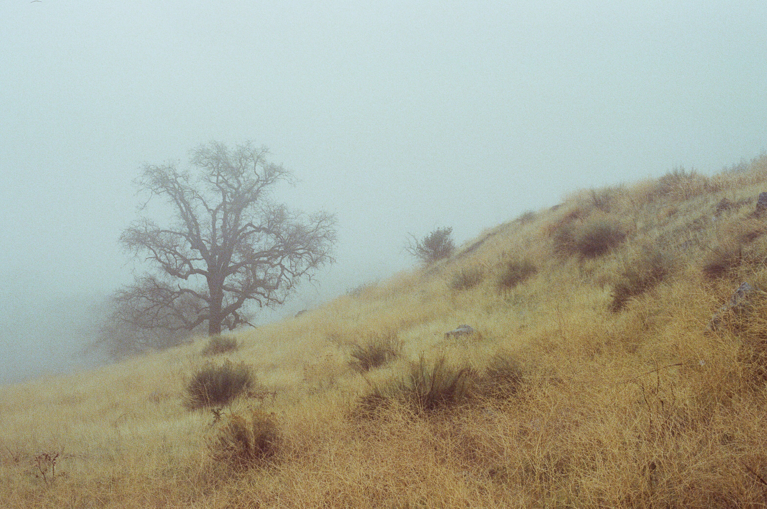 View Untitled 1 by Justin Rosenberg