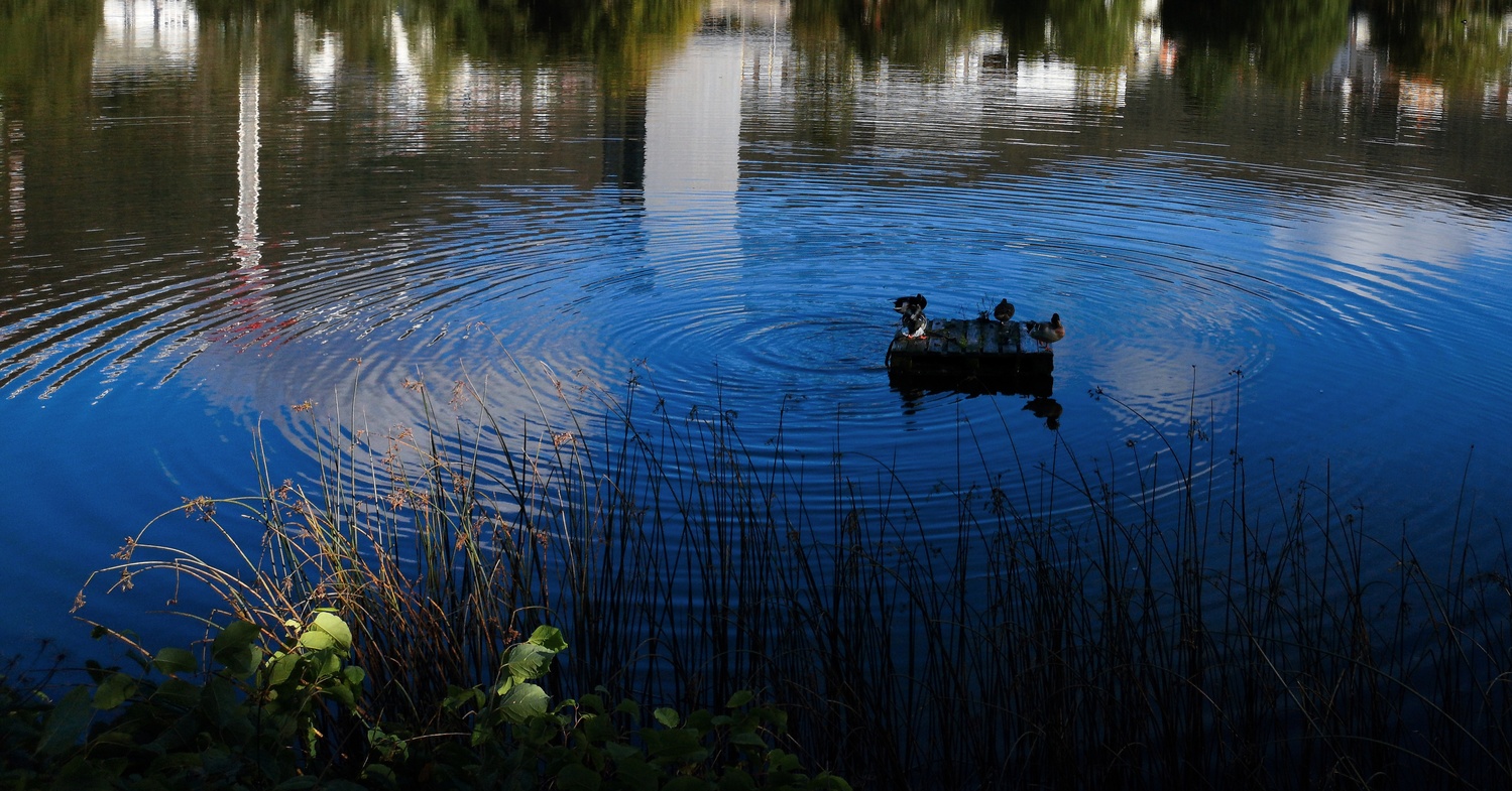 View Untitled 1 by Ole Hvoslef