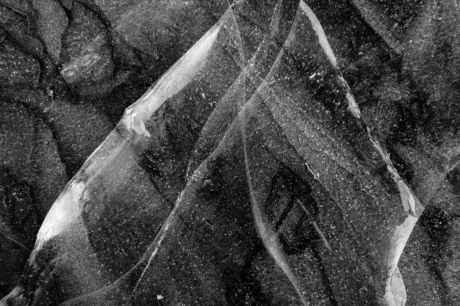 View Untitled 1 by Melissa Godron