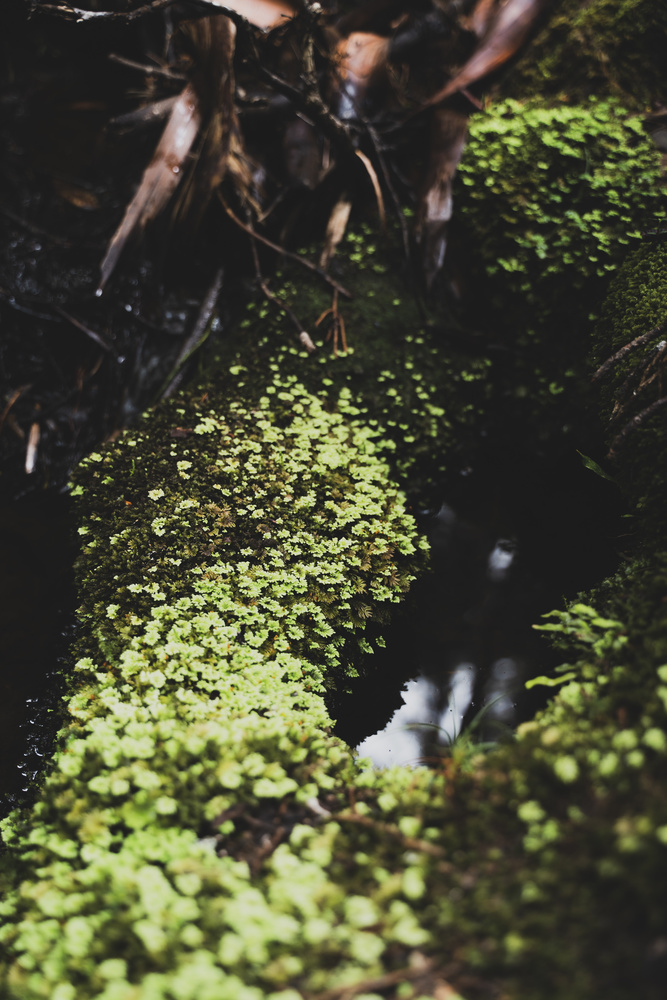 View Untitled 6 by Liam Munday