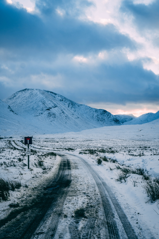View Untitled 8 by Adam McGhie