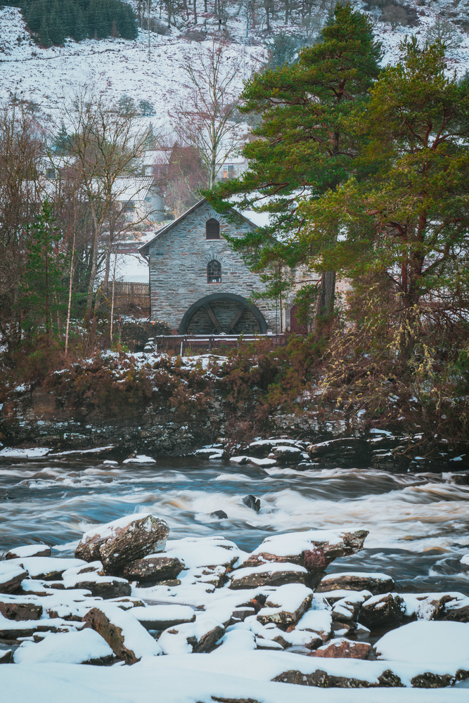 View Untitled 7 by Adam McGhie