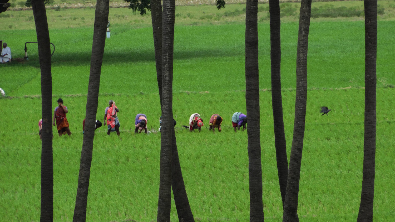 View Untitled 1 by Jaikumar Kesav