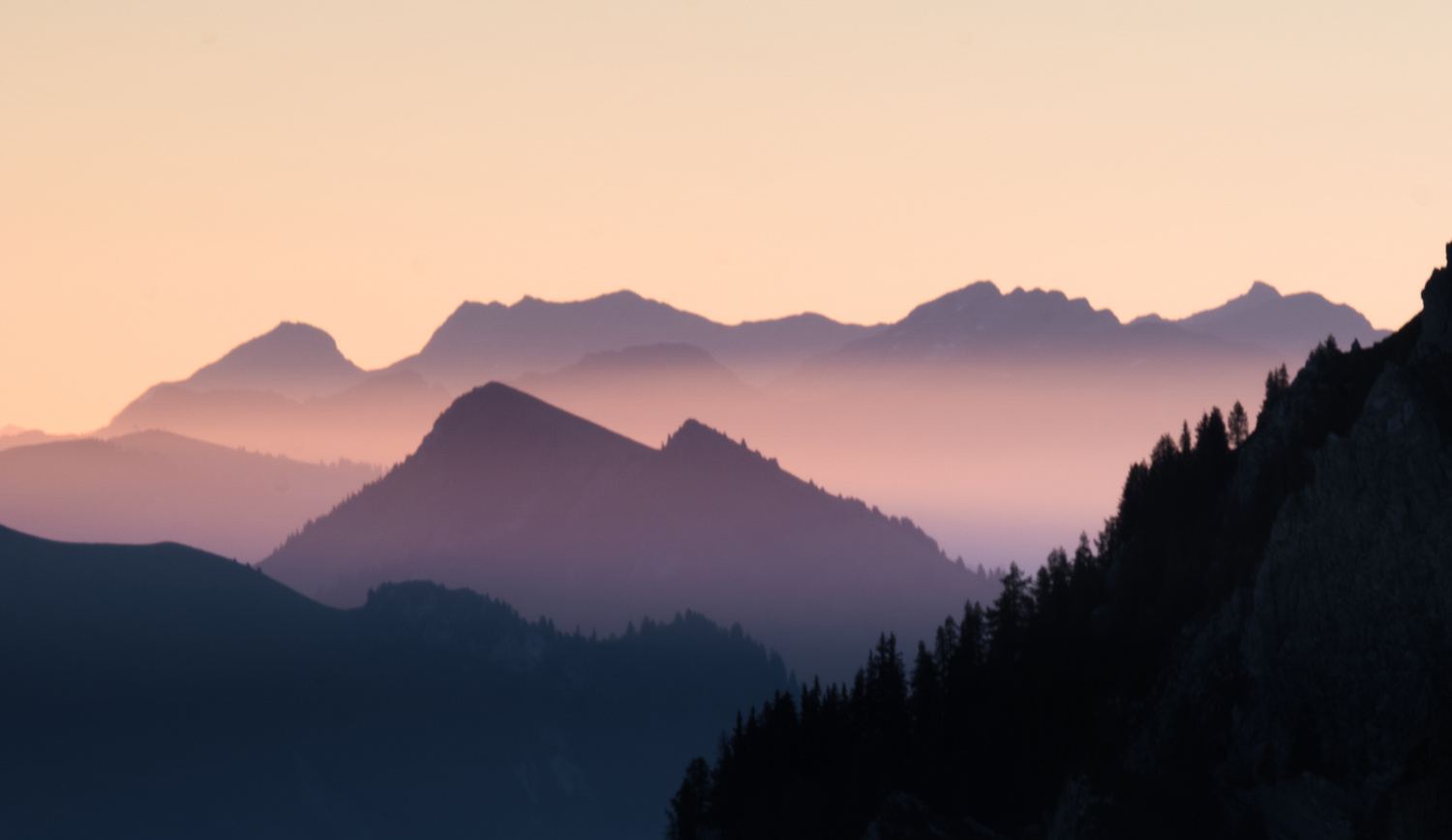 View Foggy morning by Le Trid3nt