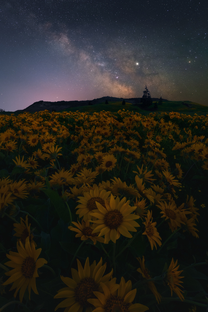 View Untitled 11 by Daniel Gomez