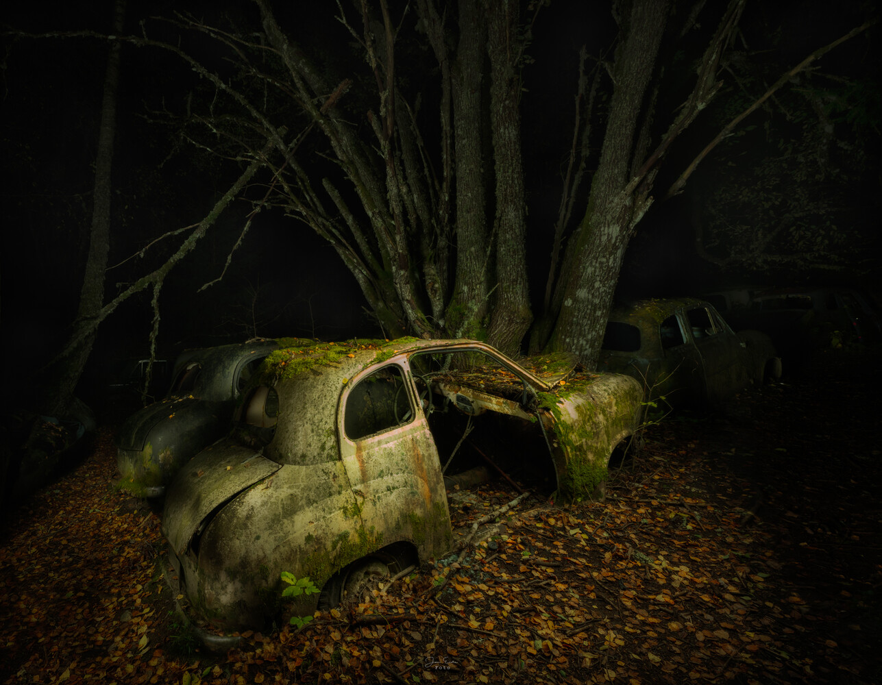 Two rusted, moss-covered vintage cars abandoned beneath bare trees in a dark forest at night.
