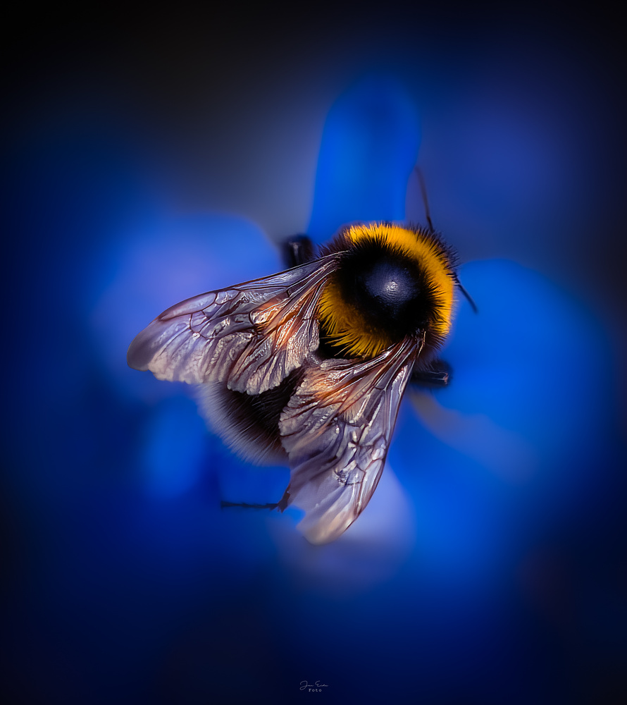 View Untitled by Jan Eide