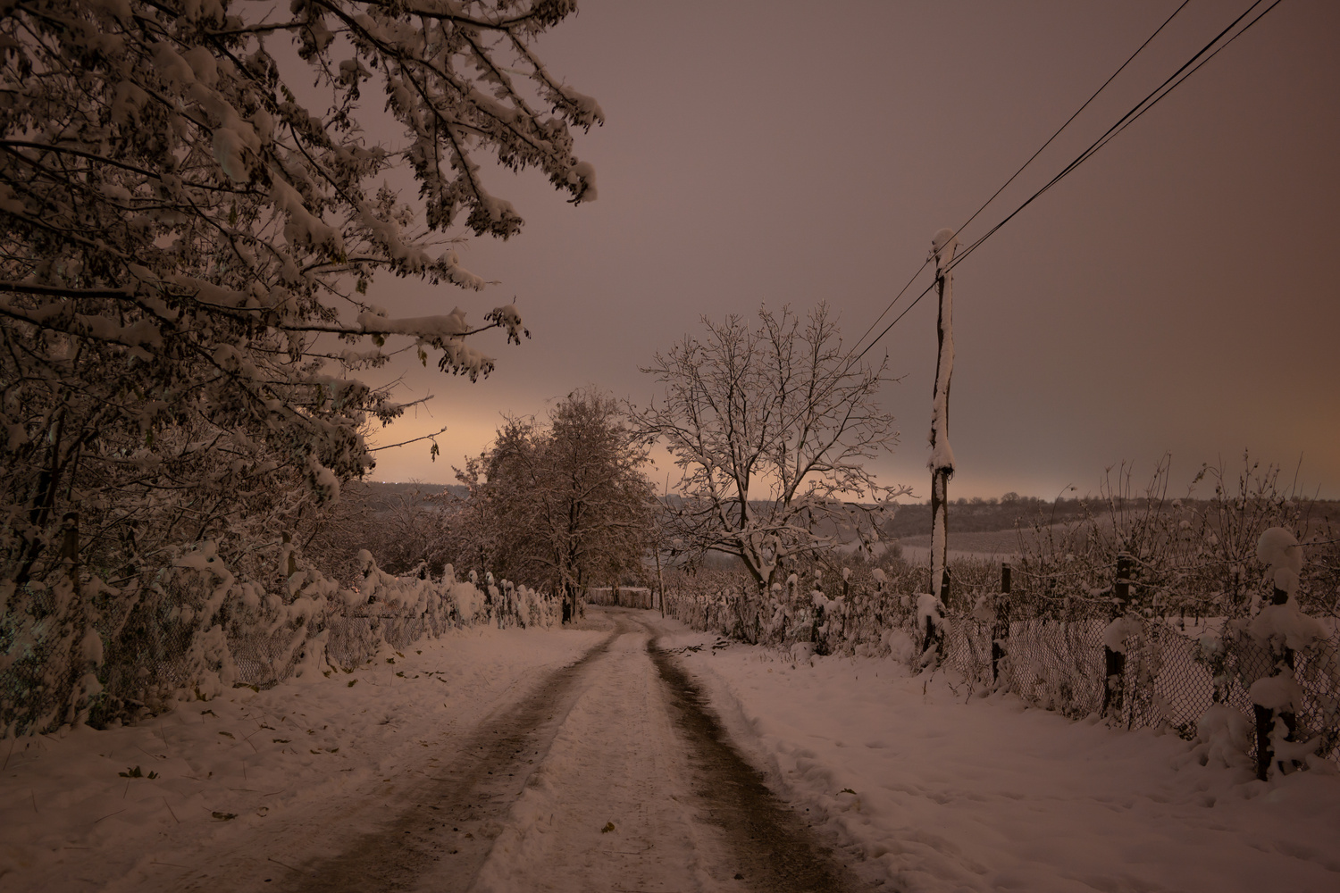 View Untitled 5 by Liviu Velichi