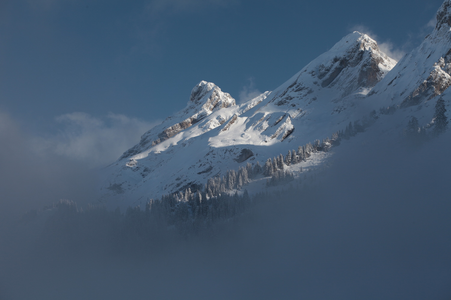 View Untitled 1 by Jon Hegner