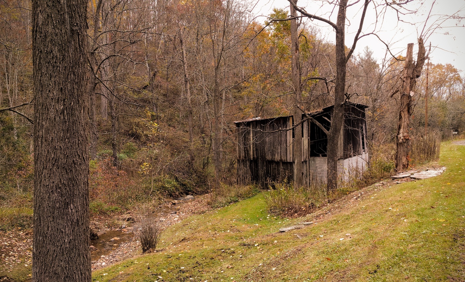 View Wood reclaiming wood by Ron DesGroseilliers Jr.