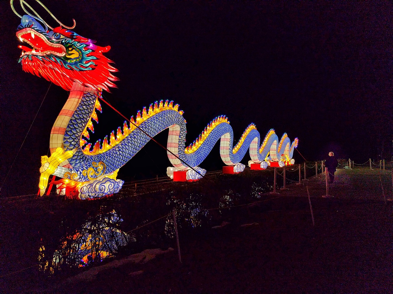 View Chinese Dragon lit from within by Ron DesGroseilliers Jr.