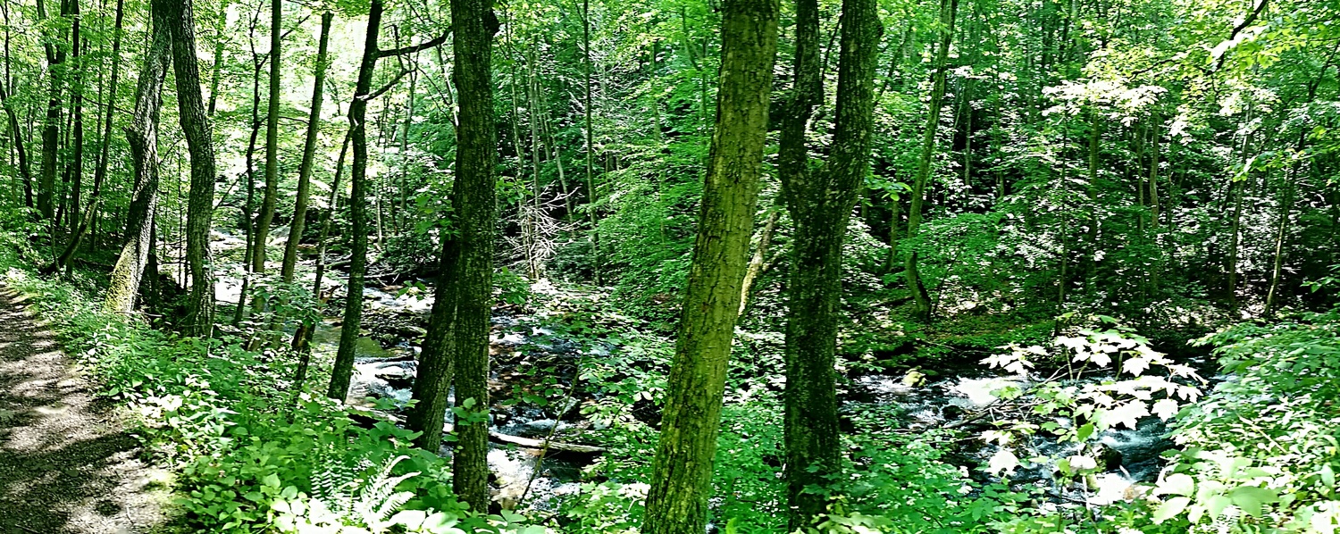 View Hike to Cascade Falls by Ron DesGroseilliers Jr.