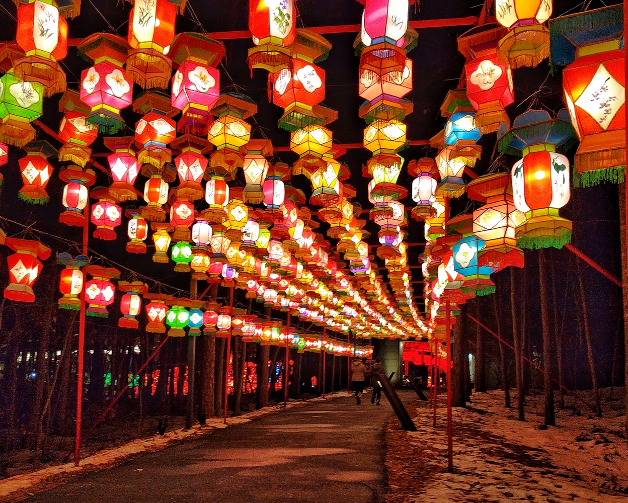 View Ceiling of Lanterns by Ron DesGroseilliers Jr.