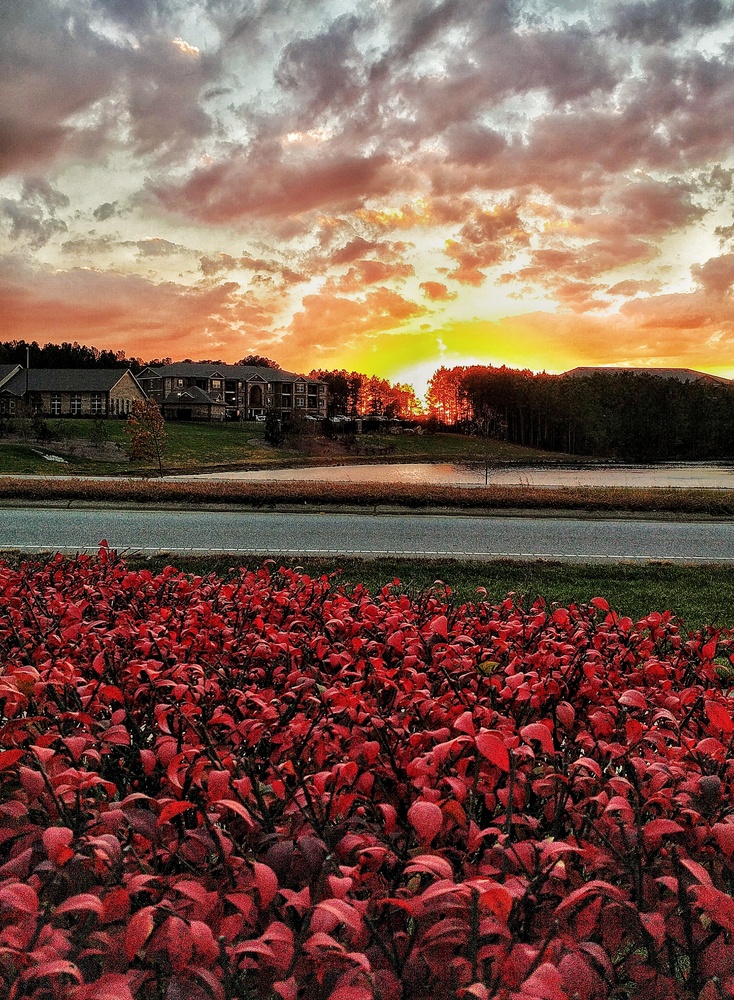 View Summer meets Fall by Ron DesGroseilliers Jr.