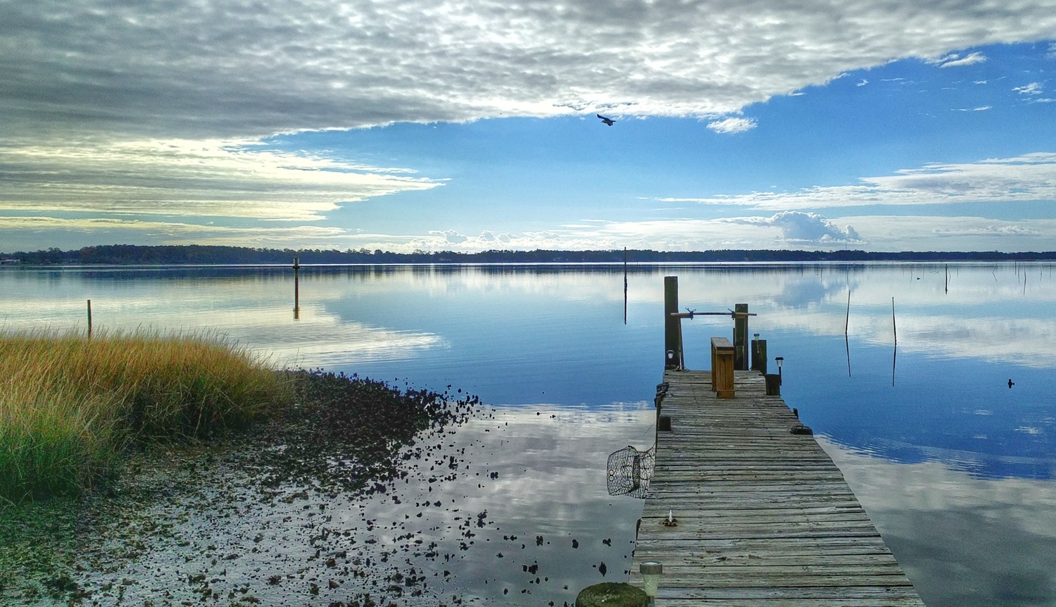View low tide at the pier by Ron DesGroseilliers Jr.