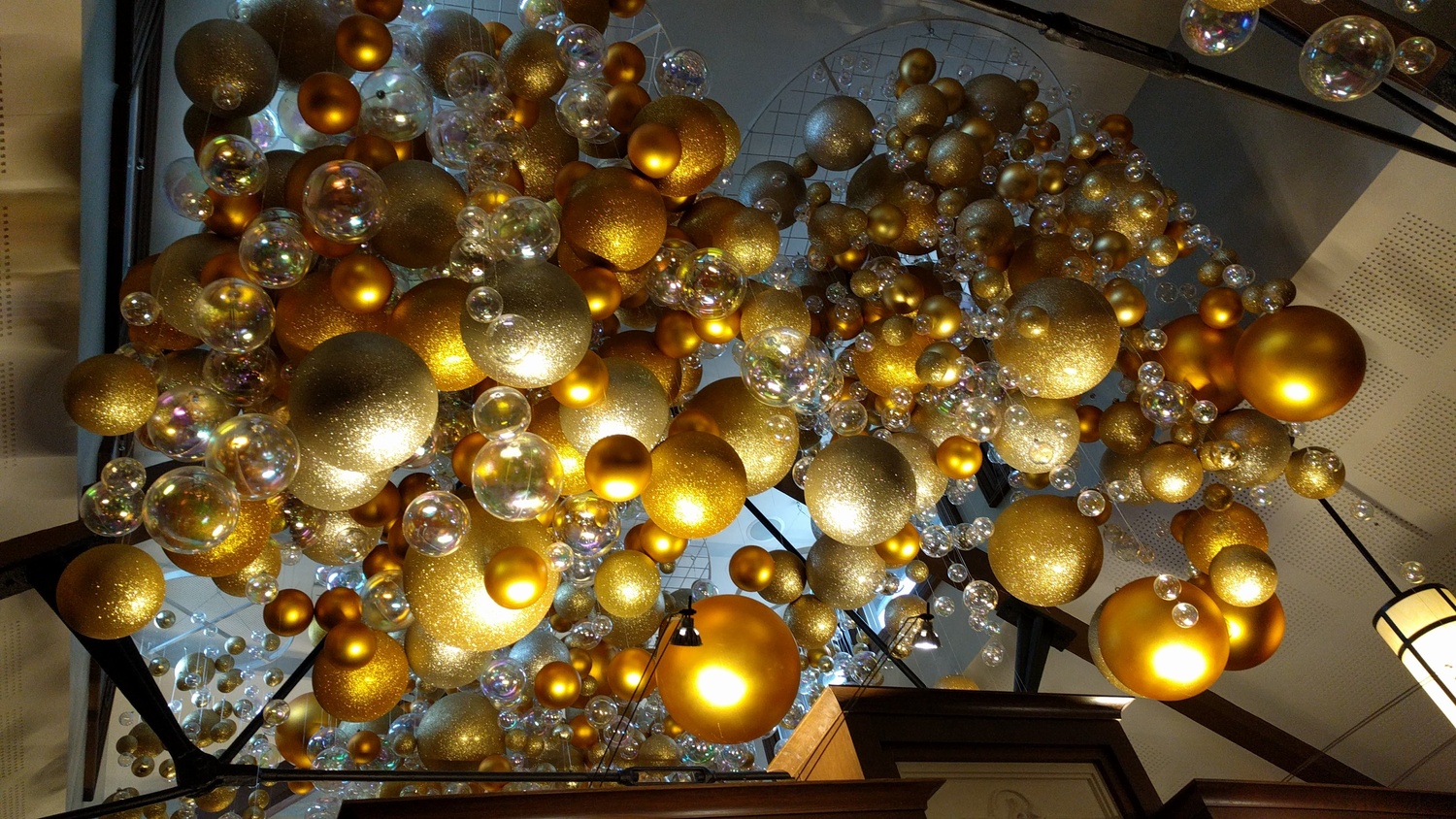 View Ceiling at Biltmore Wine Room by Ron DesGroseilliers Jr.