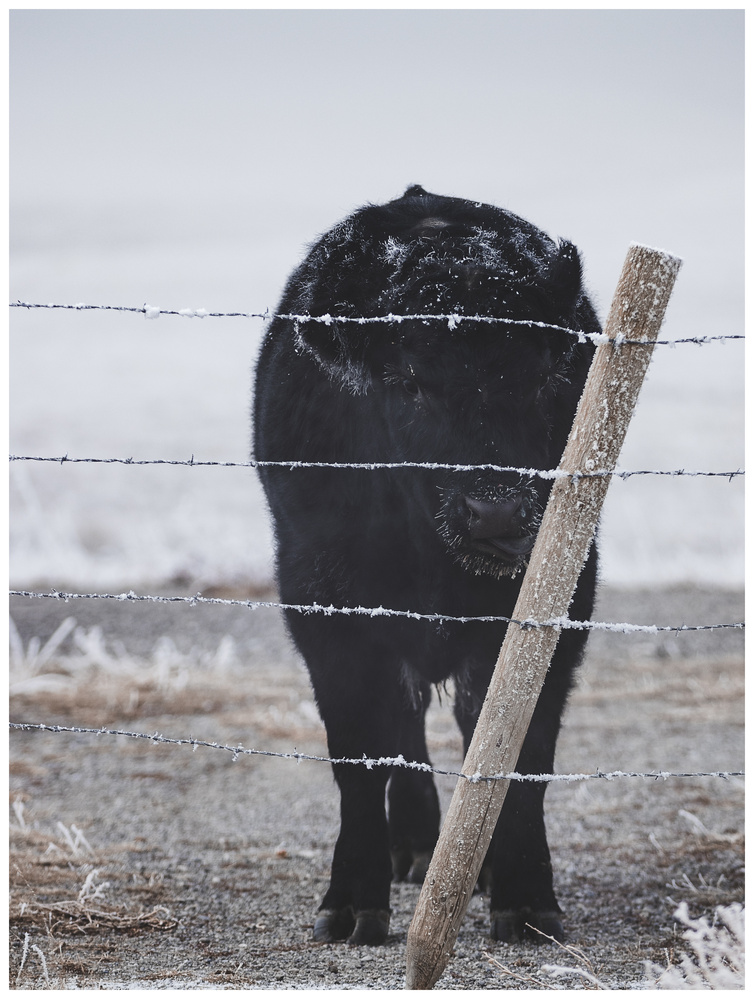 View Untitled 1 by Logan Johnson
