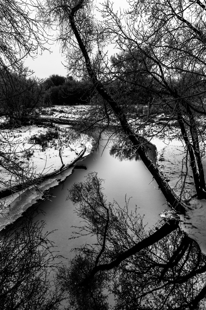 View Untitled 4 by Sean Ihde