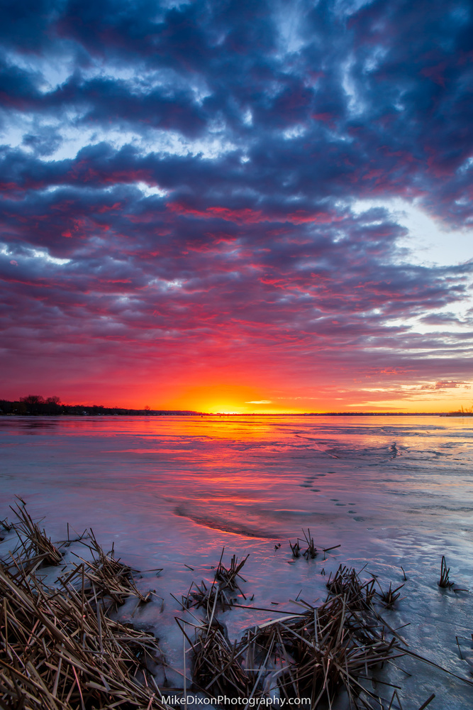 View Untitled 8 by Mike Dixon
