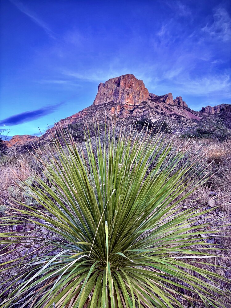 View Glowing Emory Peak by Will Swinnea