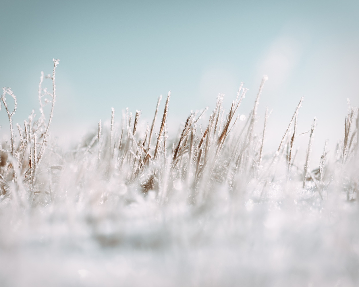 View Untitled 1 by Cody Pigeon