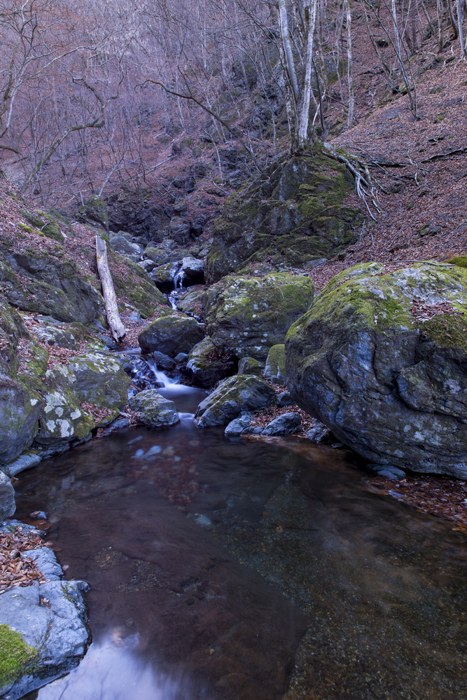 View Water in the Mountains by Sebastian Bojek