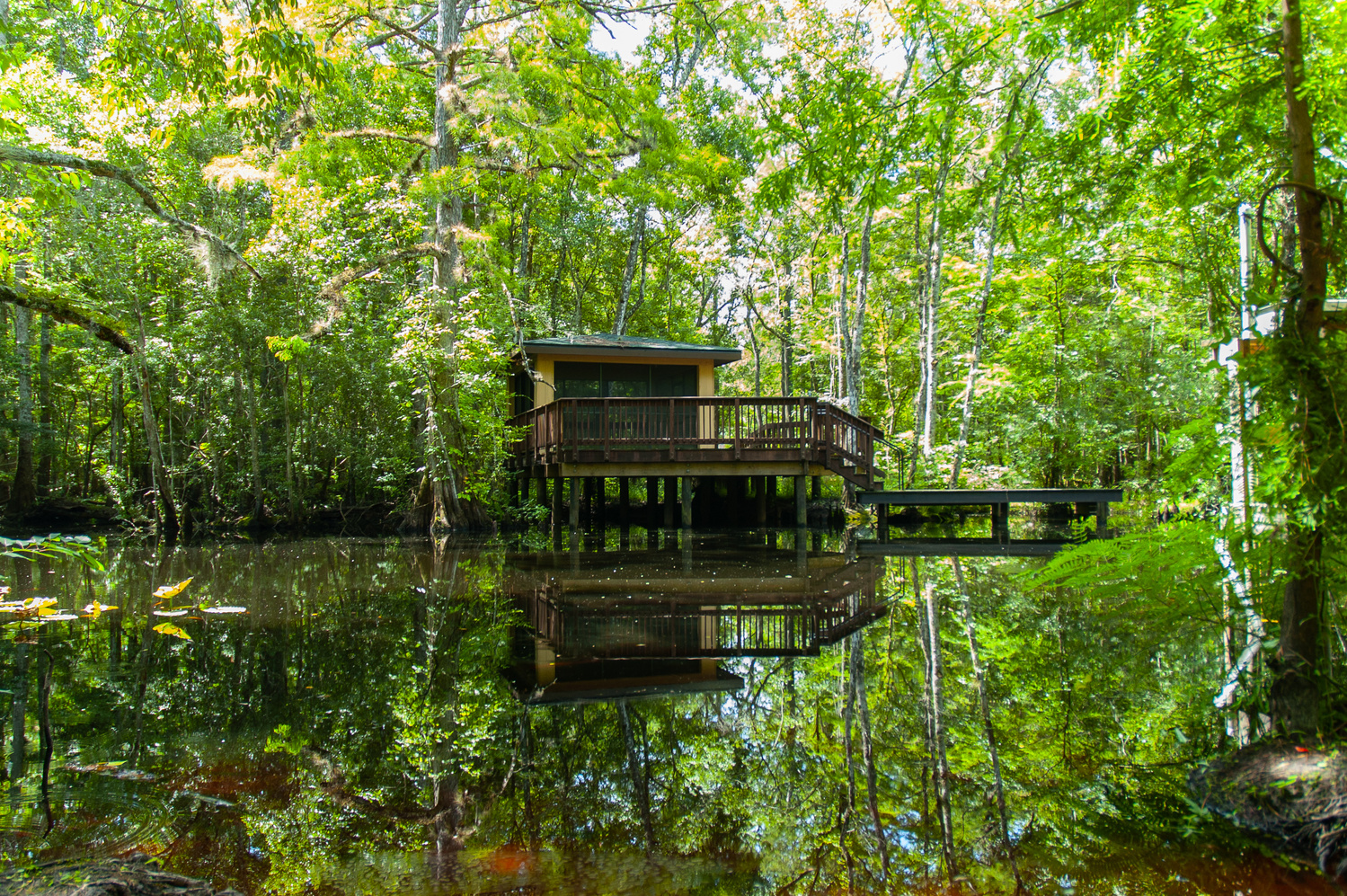 View Riverhouse by Jack Morton