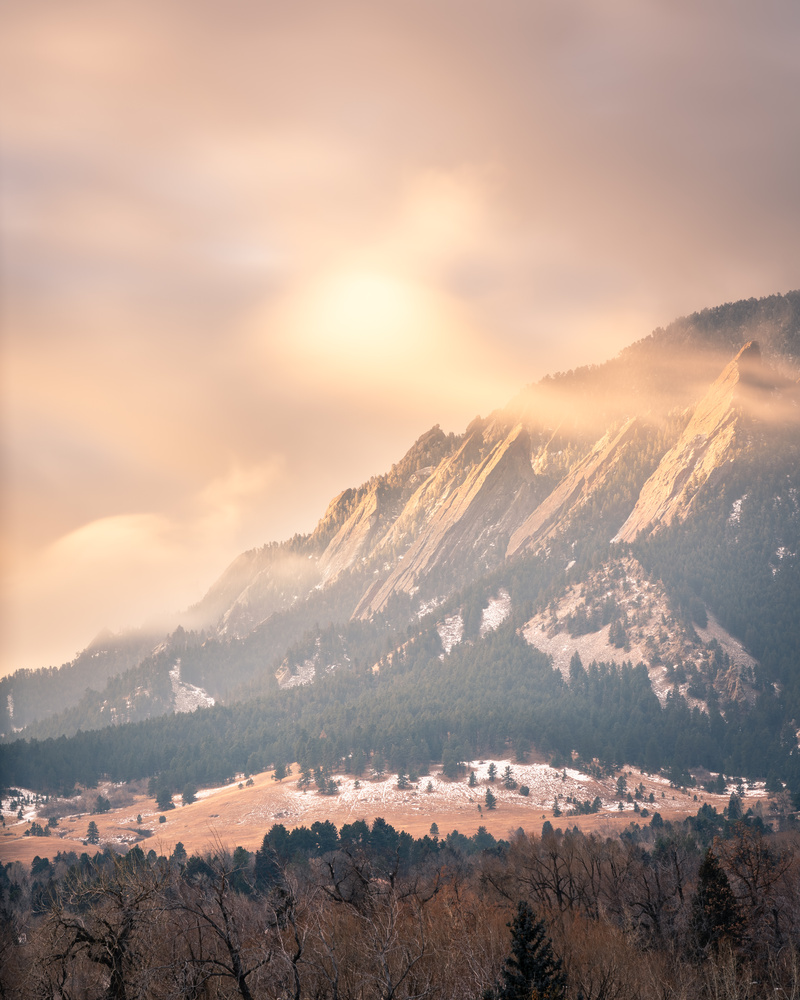 View Untitled 1 by Will Shuck