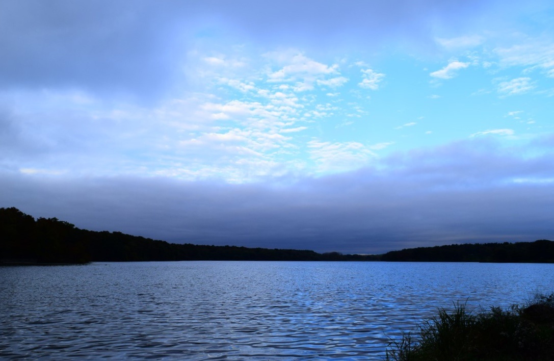View Untitled 1 by Cindy Cameron