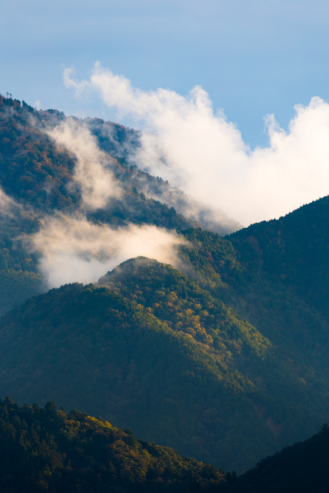 View Hills of Magome by Thomas Vervest