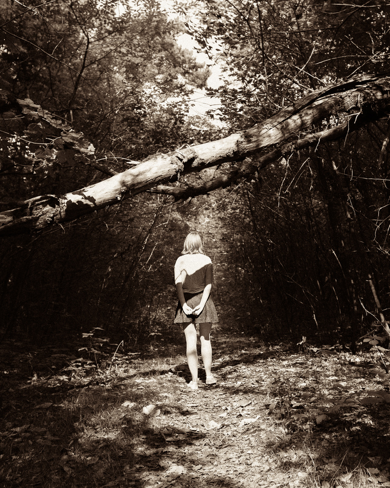 View Curiosity by Thomas Vervest