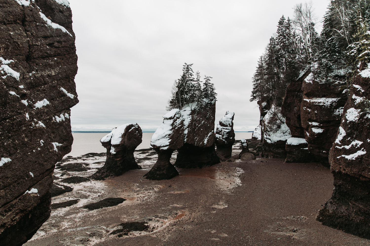View Untitled 3 by Jasmine Heinlein