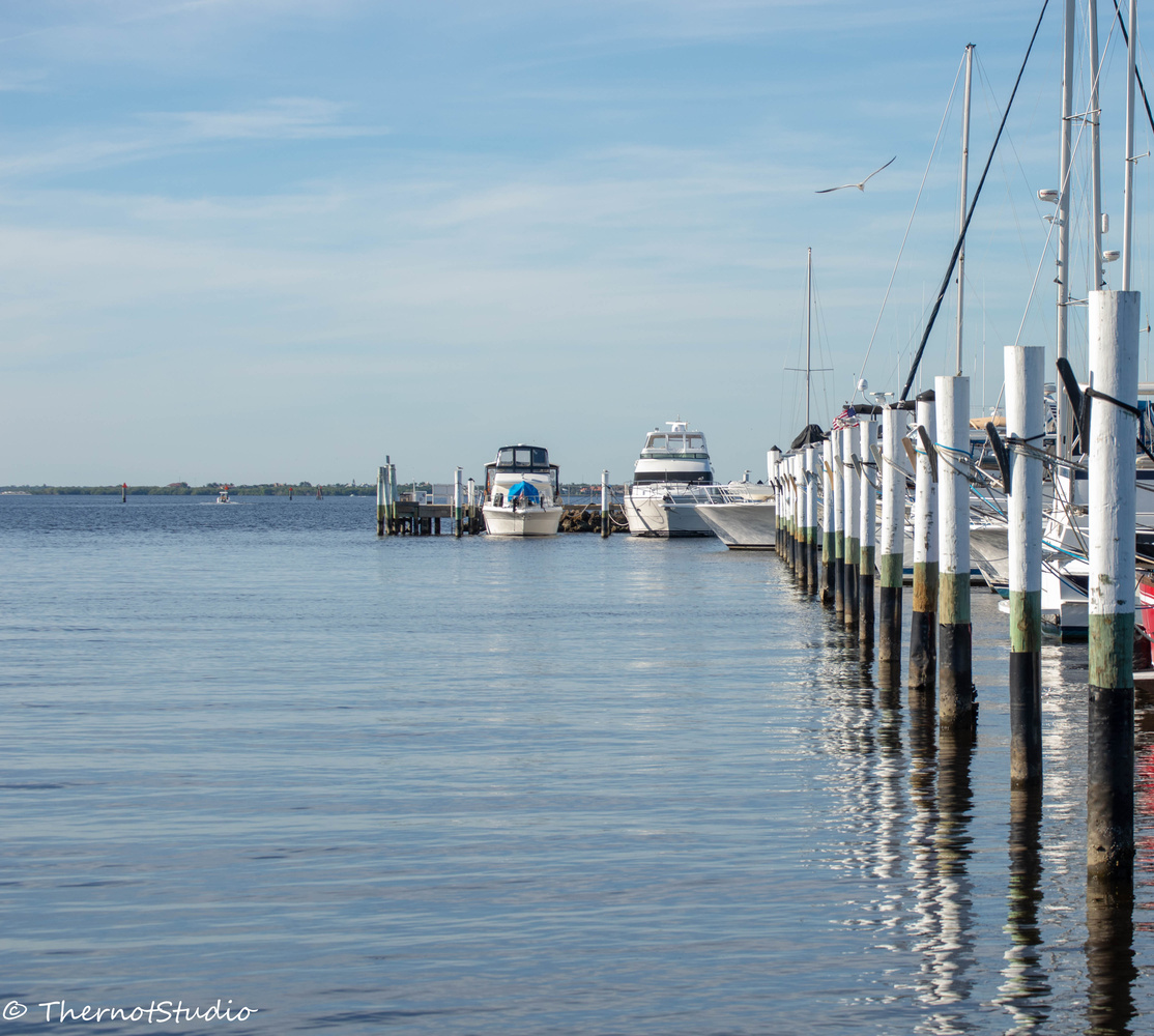 View Docks by Eric Wuerth