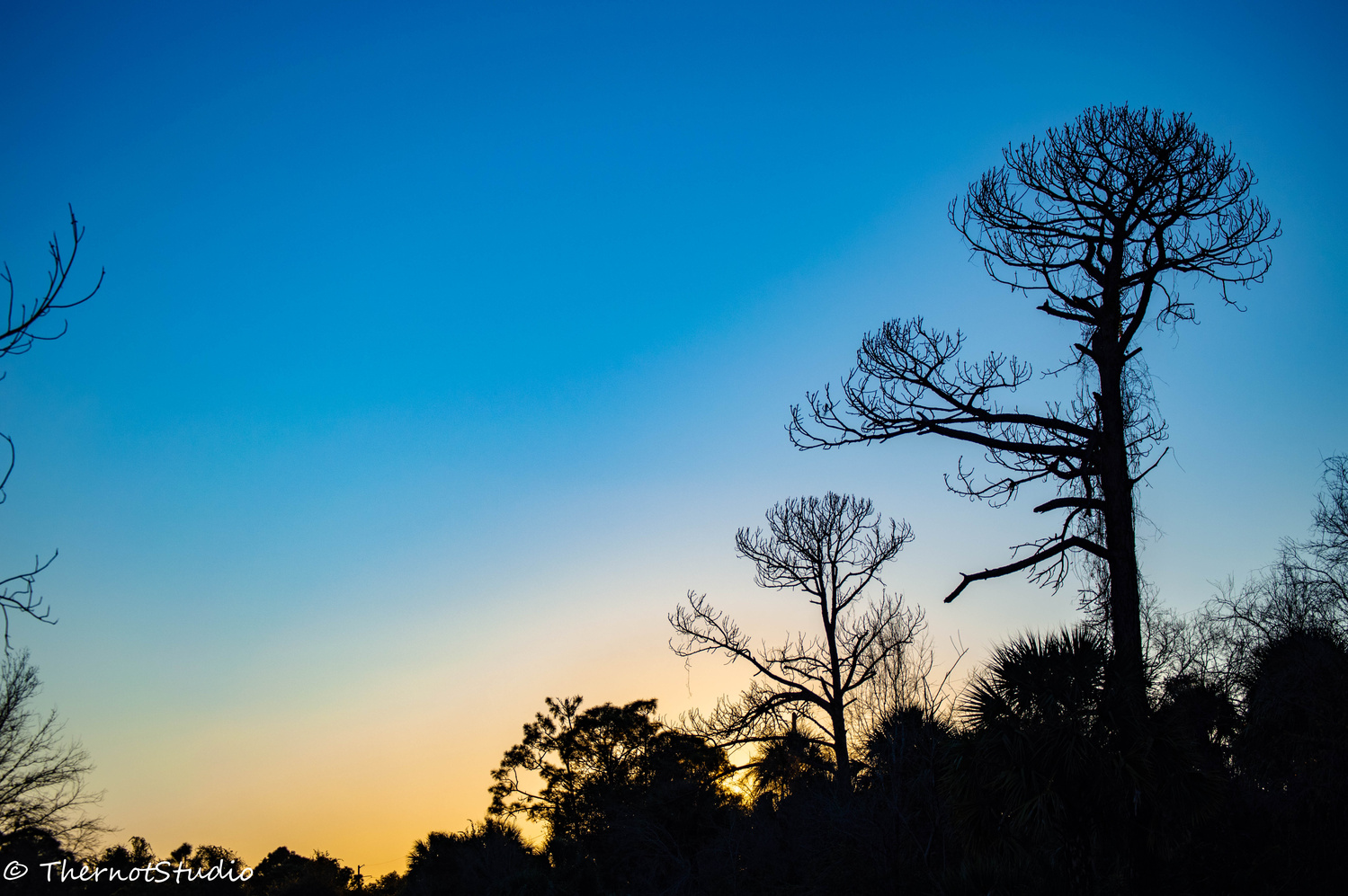 View Florida winter by Eric Wuerth