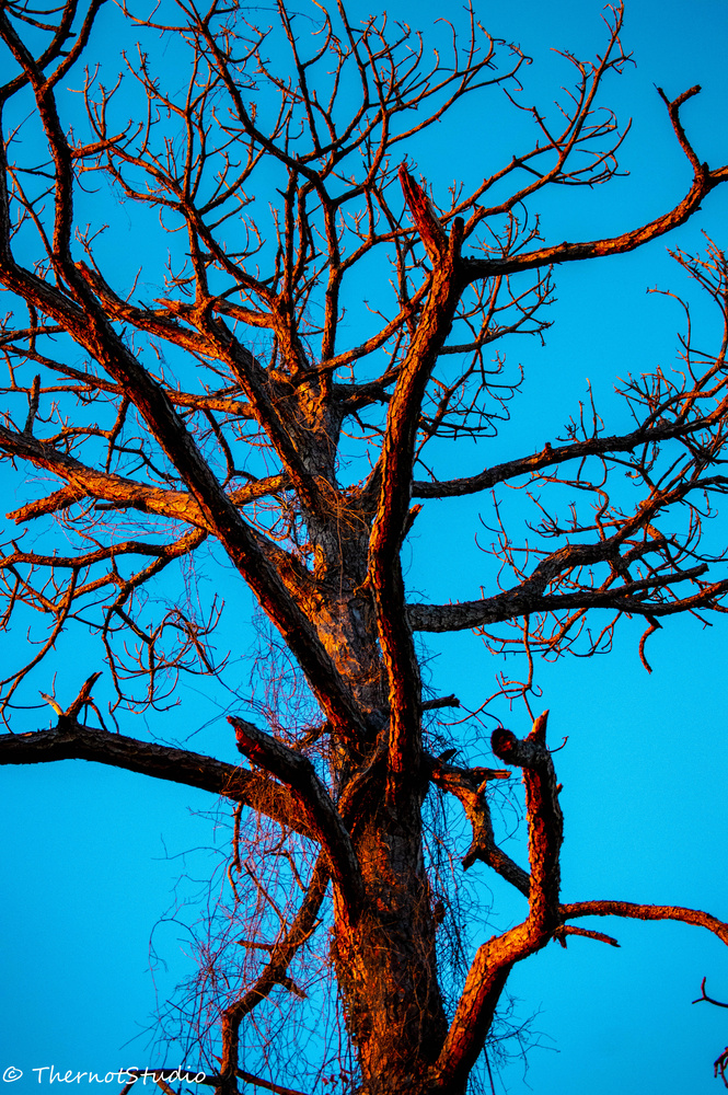 View Sundown by Eric Wuerth