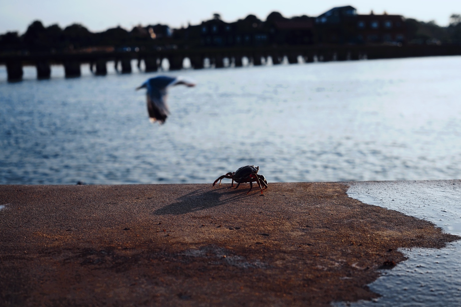 View Untitled 2 by Lewis Morfitt