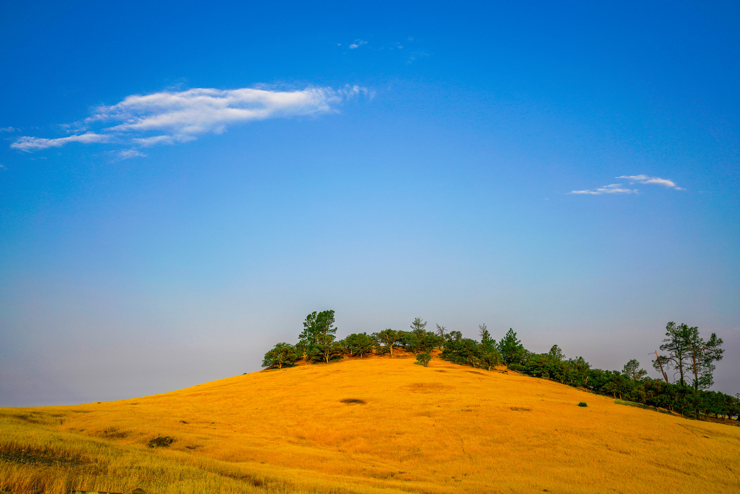 View Untitled 1 by Peter Guo